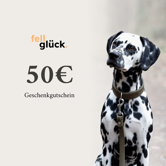 Fellglück Geschenkgutschein